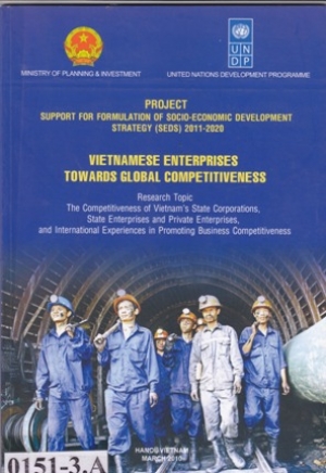 Vietnamese Enterprises Towards Global Competitiveness