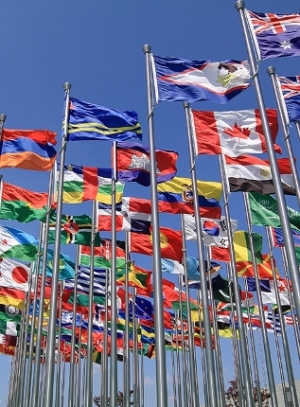 10 things the WTO can do