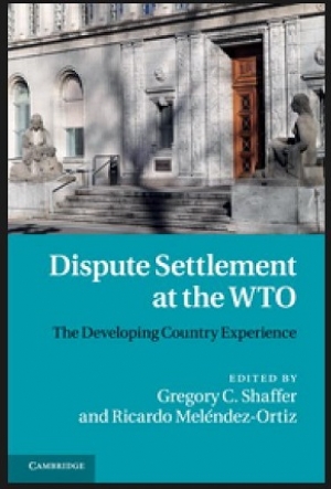 Dispute Settlement at the WTO: The Developing country Experience