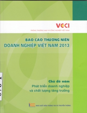 B&aacute;o c&aacute;o thường ni&ecirc;n doanh nghiệp Việt Nam năm 2013