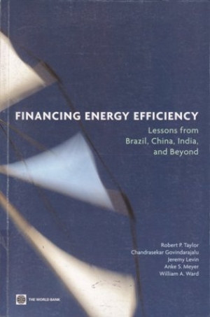 Financing Energy Efficiency &ndash; Lessons from Brazil, China, India and Beyond