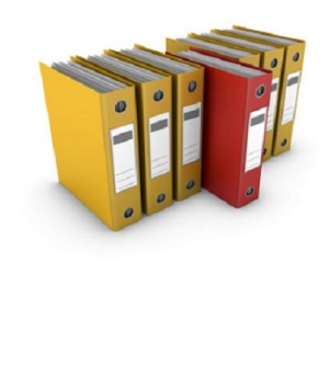 QUYẾT ĐỊNH CỦA BỘ T&Agrave;I CH&Iacute;NH SỐ 41/2007/QĐ-BTC NG&Agrave;Y 31 TH&Aacute;NG 05 NĂM 2007  VỀ VIỆC BAN H&Agrave;NH BIỂU THUẾ NHẬP KHẨU ƯU Đ&Atilde;I ĐẶC BIỆT CỦA VIỆT NAM ĐỂ THỰC HIỆN KHU VỰC MẬU DỊCH TỰ DO ASEAN &ndash; H&Agrave;N QUỐC