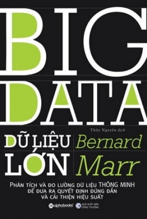 Dữ liệu lớn: Ph&acirc;n t&iacute;ch v&agrave; đo lường dữ liệu th&ocirc;ng minh đề đưa ra quyết định đ&uacute;ng đắn v&agrave; cải thiện hiệu suất
